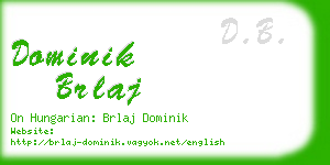 dominik brlaj business card